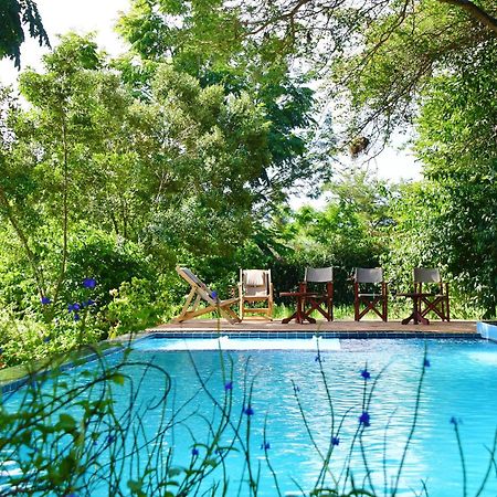 Tanzanice Farm Lodge 卡拉图 外观 照片