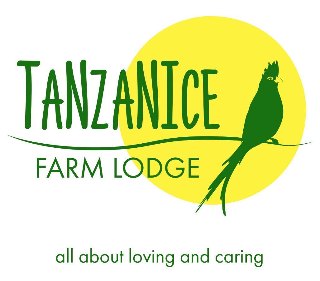 Tanzanice Farm Lodge 卡拉图 外观 照片