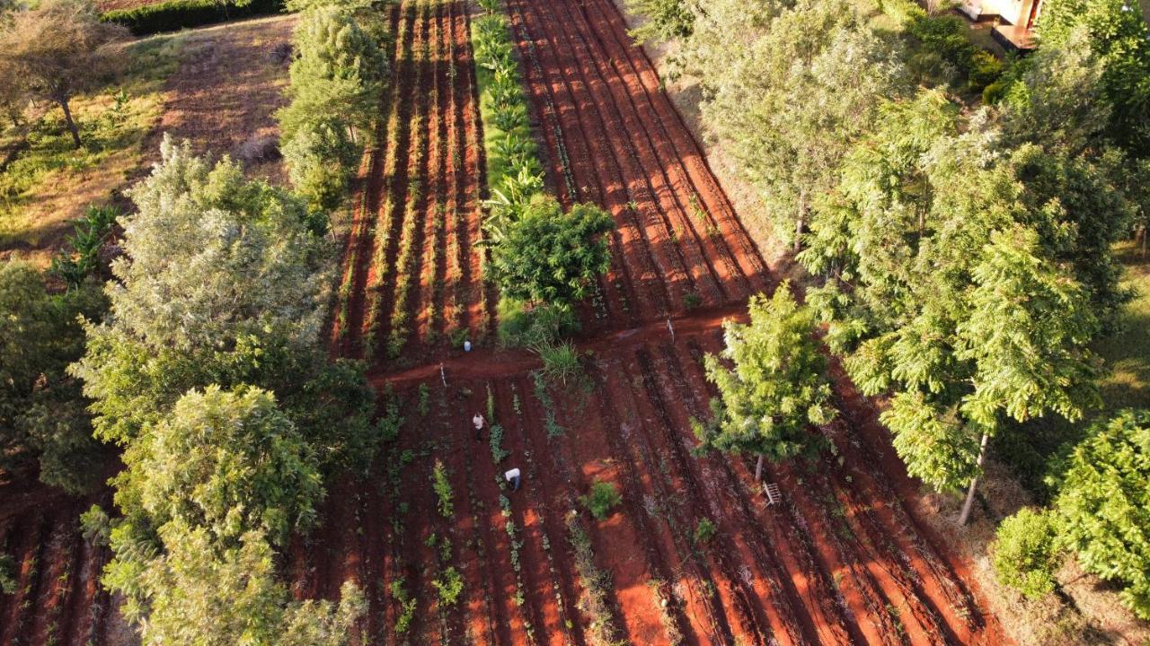 Tanzanice Farm Lodge 卡拉图 外观 照片