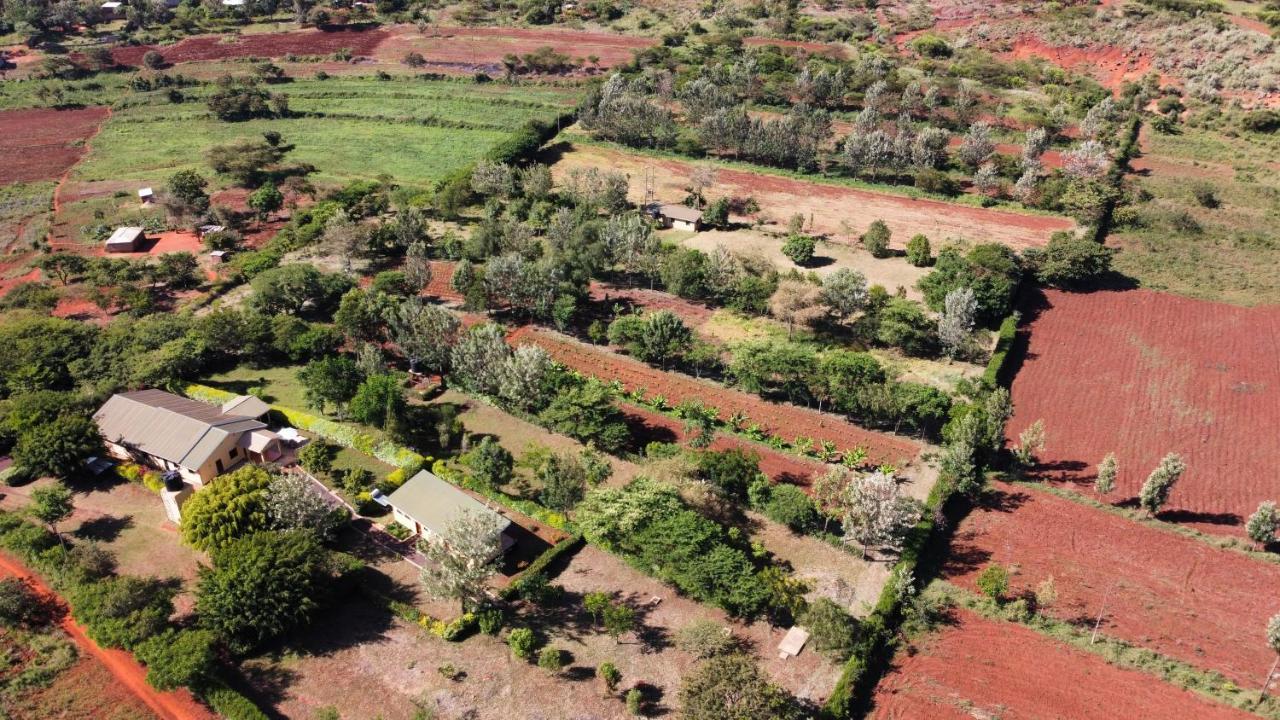 Tanzanice Farm Lodge 卡拉图 外观 照片