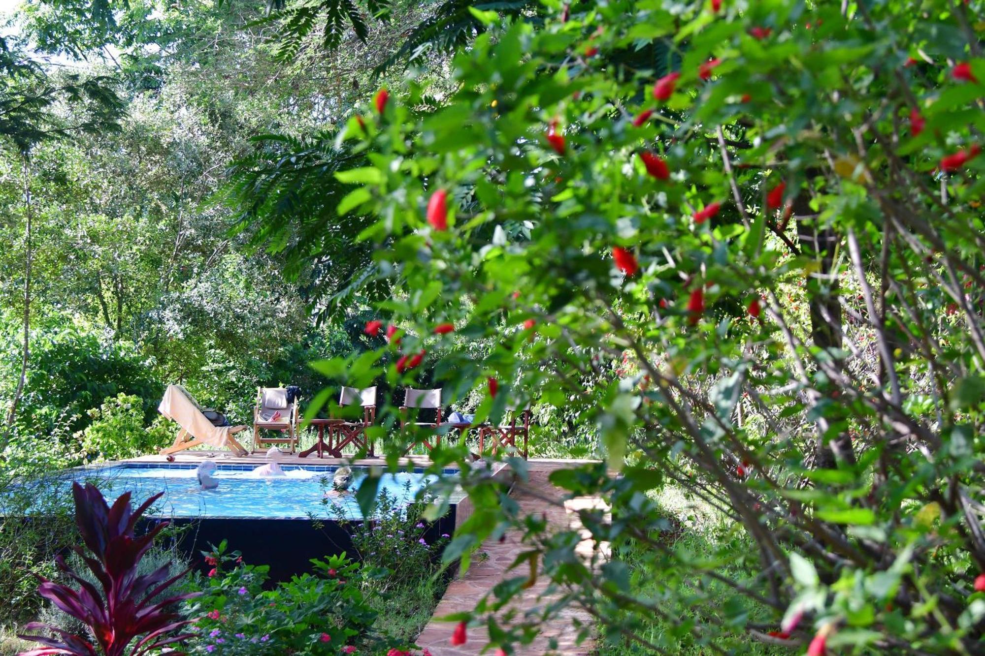 Tanzanice Farm Lodge 卡拉图 外观 照片