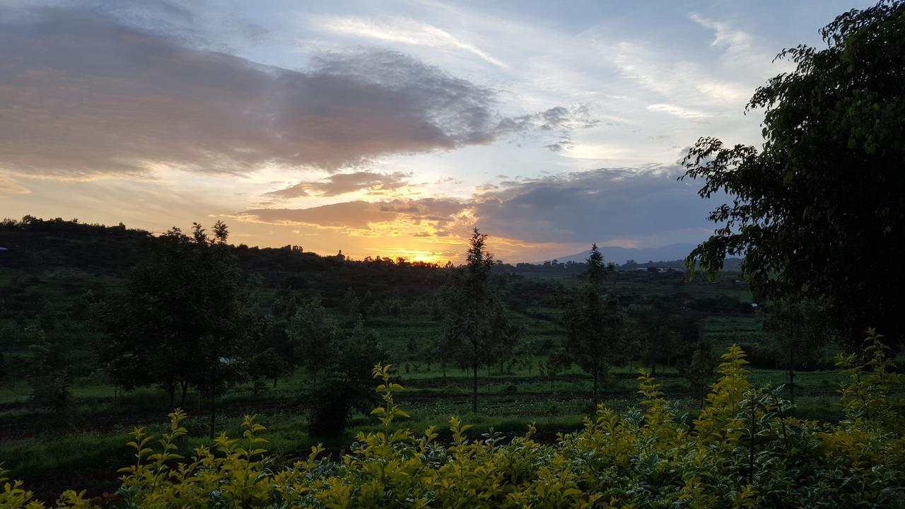 Tanzanice Farm Lodge 卡拉图 外观 照片